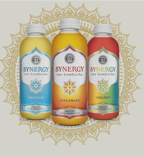GT kombucha logo example