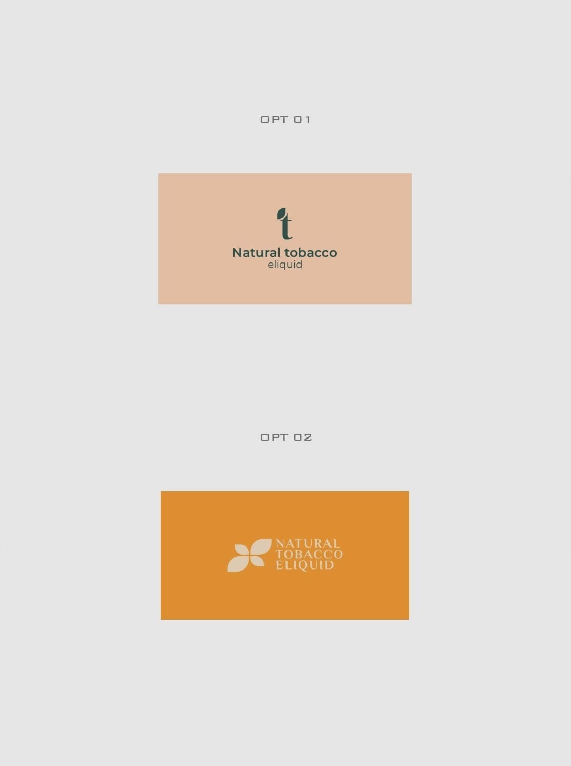 First design concepts