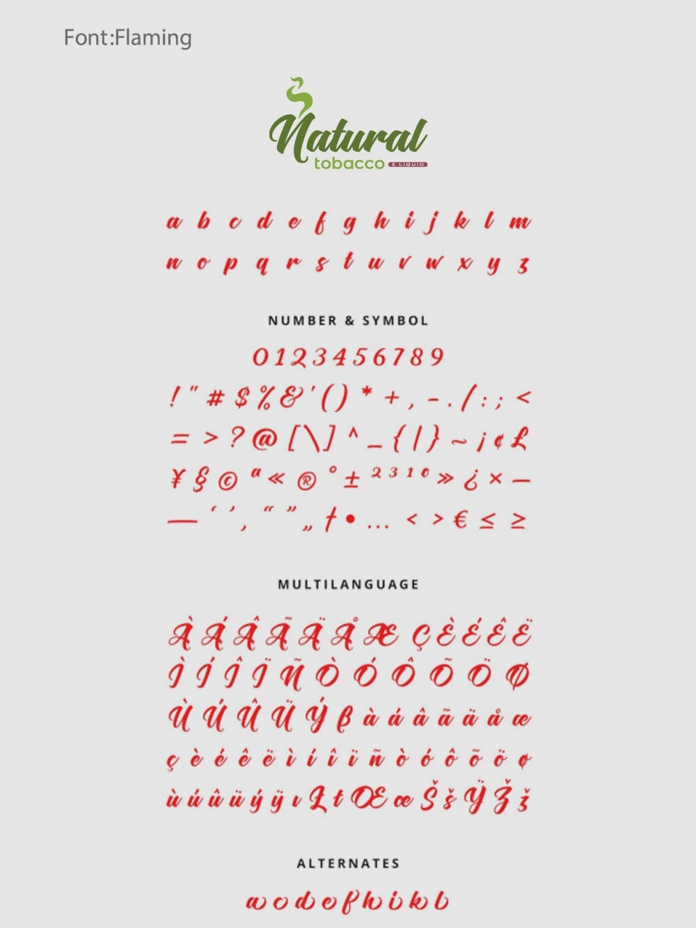 Flaming font used in final logo