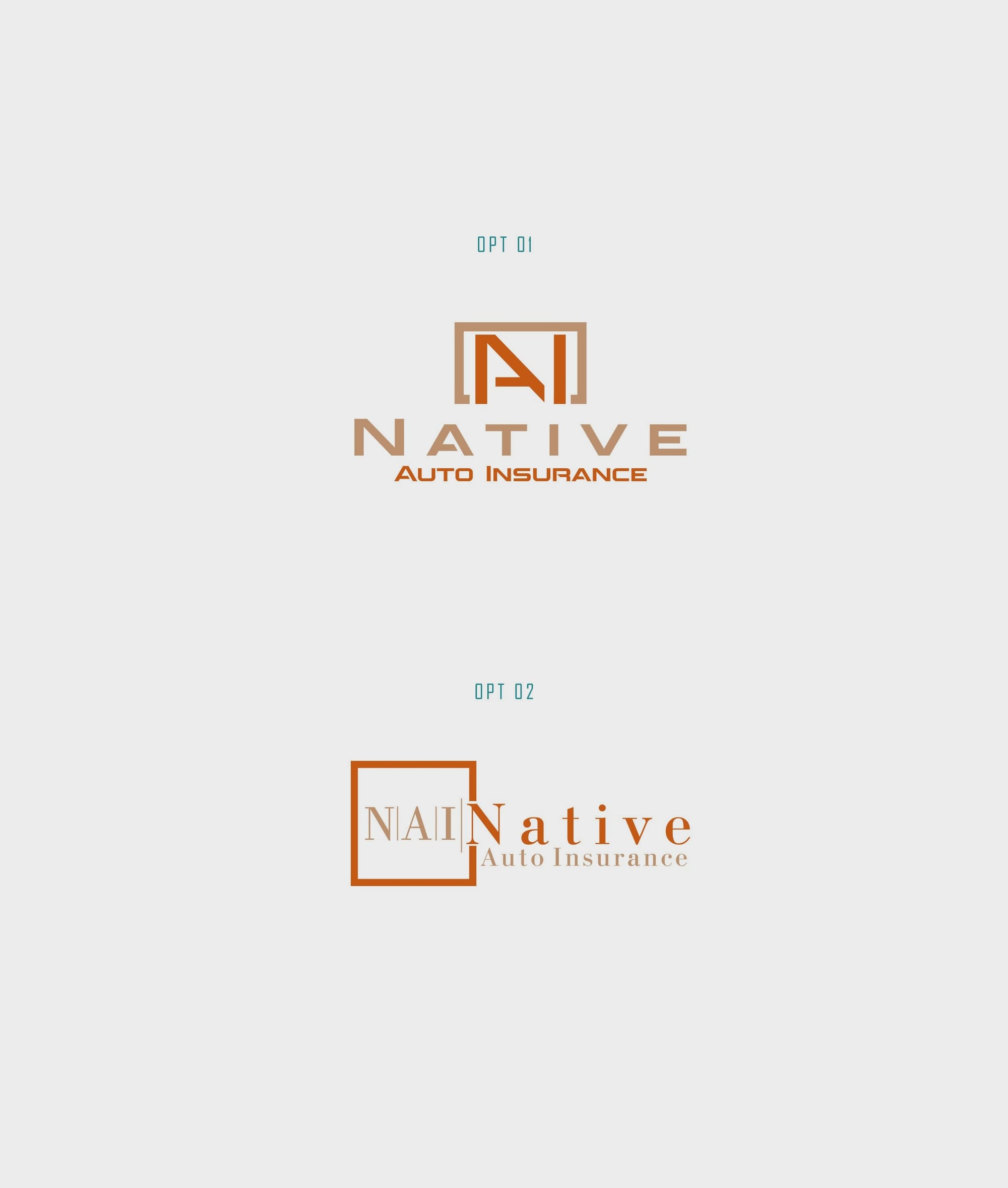 Initial concepts for Native Auto Insurance logo
